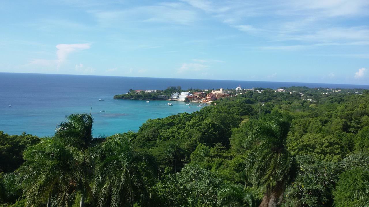B&B El Mirador Al Mar Sosua Exterior photo